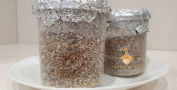 Sterile substrate after PC ready for inoculation