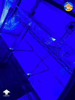 Grow Tent - First trays in the new shroom village
