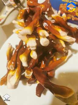 No luck with shiitake or oysters but reishi happens