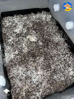 Quick progress report. Little by little, things are looking good. B+ #2