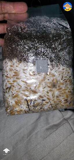 Time to shake this all in one bag