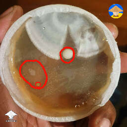 Mycelium got superheated to 110 F. Contam? Shroomok answers in description