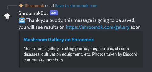 ShroomokBot in Discord works on content delivery to website