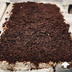 Mushroom cake with pseudo casing layer