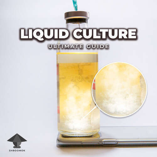 Liquid culture