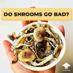 How long can you store shrooms