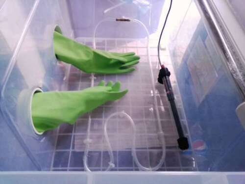 Handmade glove box for inoculation and growing magic mushrooms manipulations