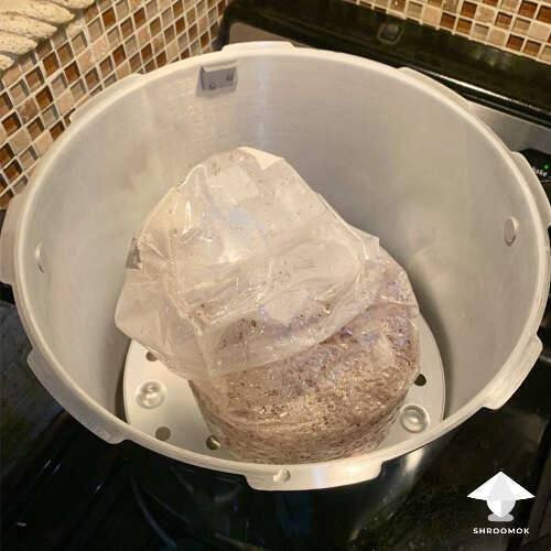 Grow bag with grain substrate in pressure cooker
