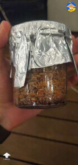 I just burnt some grain jars in the PС