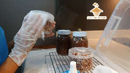 Transfer grain to grain