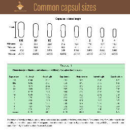 Common capsule sizes