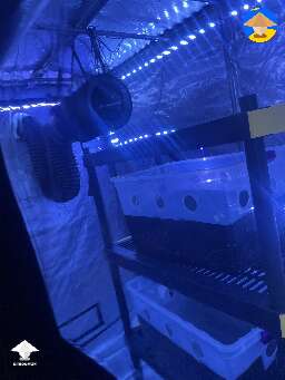 Completely automated grow tent
