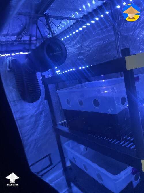Completely automated grow tent