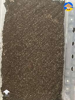 After fork tek put down a true casing layer of non-nutritional Coir/Verm/Peat with hydrated lime