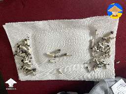 Harvested aborted mushrooms