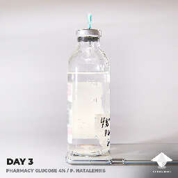 LC glucose day 3