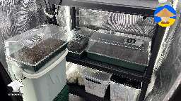 I'm currently trying out propagators for cubensis
