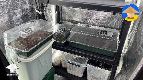 I'm currently trying out propagators for cubensis