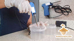 How to prepare 5PP spawn jars