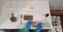 Casing procedure for psilocybe pf tek