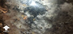 Mycelium growing over green mold