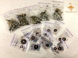 Results of first flush of growing psilocybe cubensis mushrooms