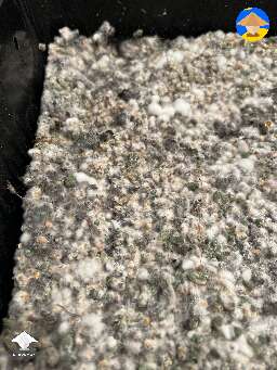 Looking for general feedback before I case the substrate. Contaminated or not? #2