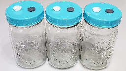 Jars and lids for mushroom growing