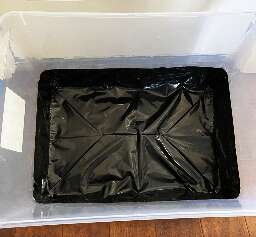How to prepare monotub for spawn to bulk