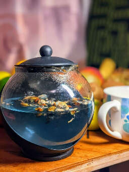 Magic mushroom tea