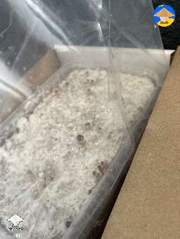 Growkit growing