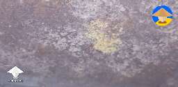 I have a sus spot. Contamination? #2