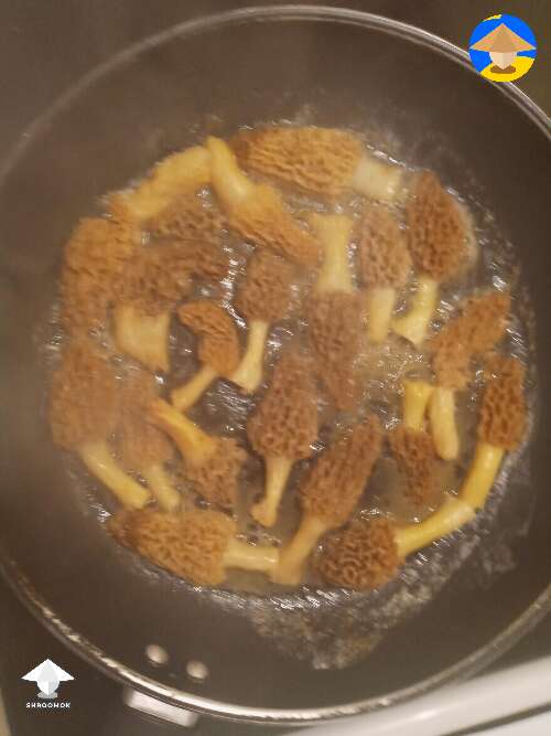 Morels mushrooms cooking