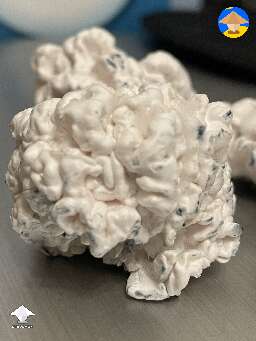 Chocolate Krinkle Brain