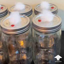 Jars for mushroom spawn with inoculation port and polyfill air filter