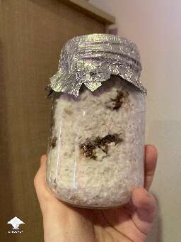 This jar developed some dark wet spots - bacterial contam