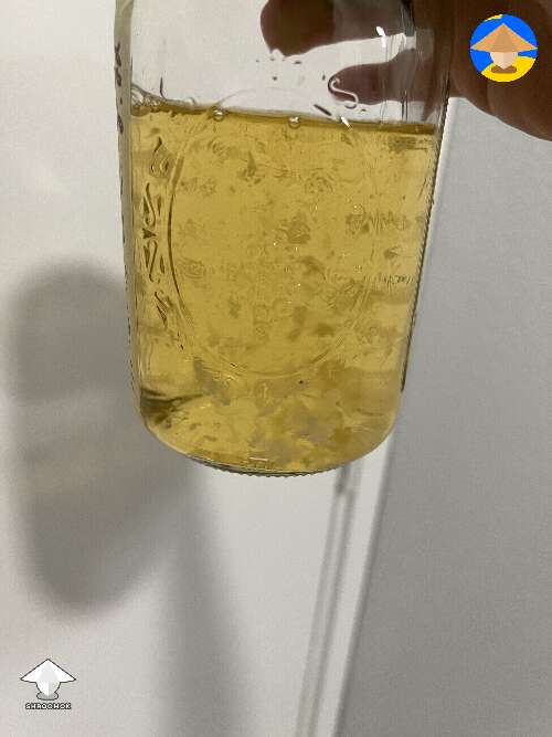 LC is 6 months old. Tested on agar and grain, no contam. But it’s not thick or densely colonized