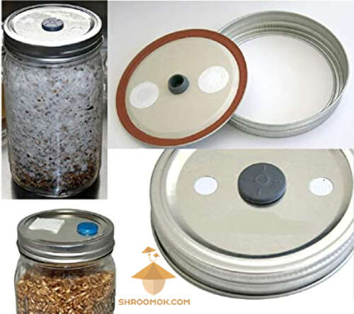 Mason jar lid with filter and injection port