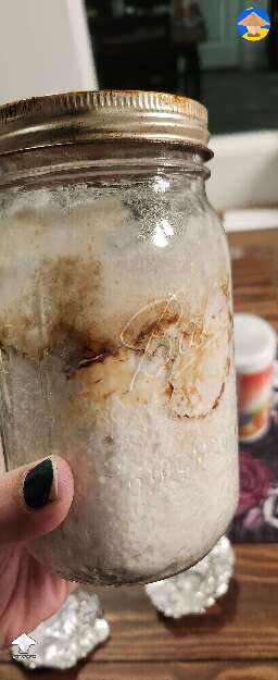 What am I seeing? Contaminated?