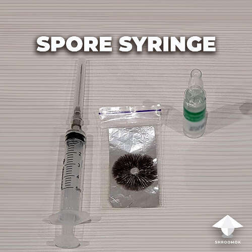 How to make spore syringe mushroom growing