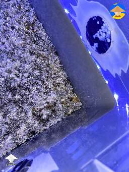 I see something weird going on mycelium in the corner