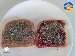Mushroom sandwich