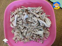 Shrooms harvest