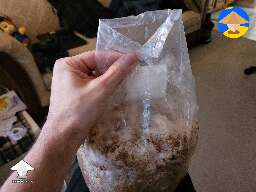 Step 2. Fold it. Here are some visualizations of the process going from the bag into a block ready to put in the fruiting chamber #2