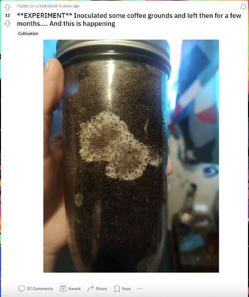 Coffee experiment on reddit