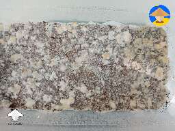 This is the tub that came from that spawn. With the bacteria and tomentose myc