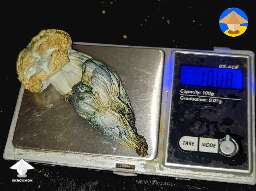 Bluey Vuitton - wet weight was 71g