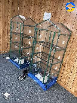 How u guys like my setup for shrooms