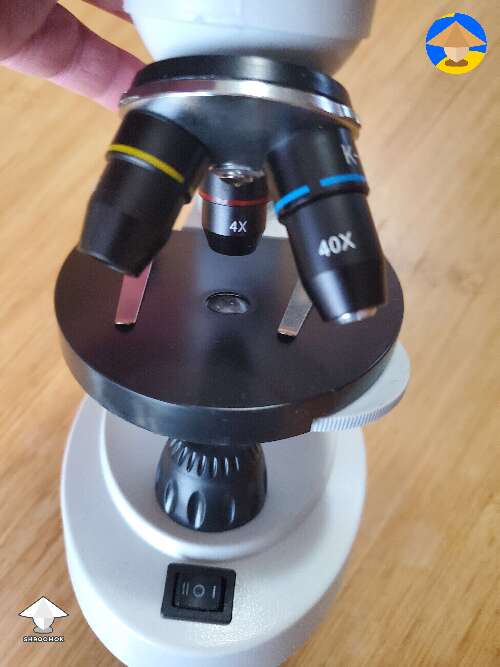 Is this a good enough microscope to see spores? #2