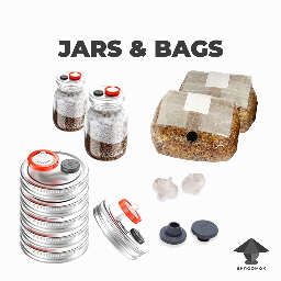 Diy spawn jars and spawn bags